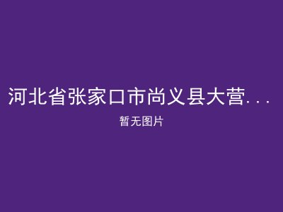 河北省张家口市尚义县大营盘乡敬老院