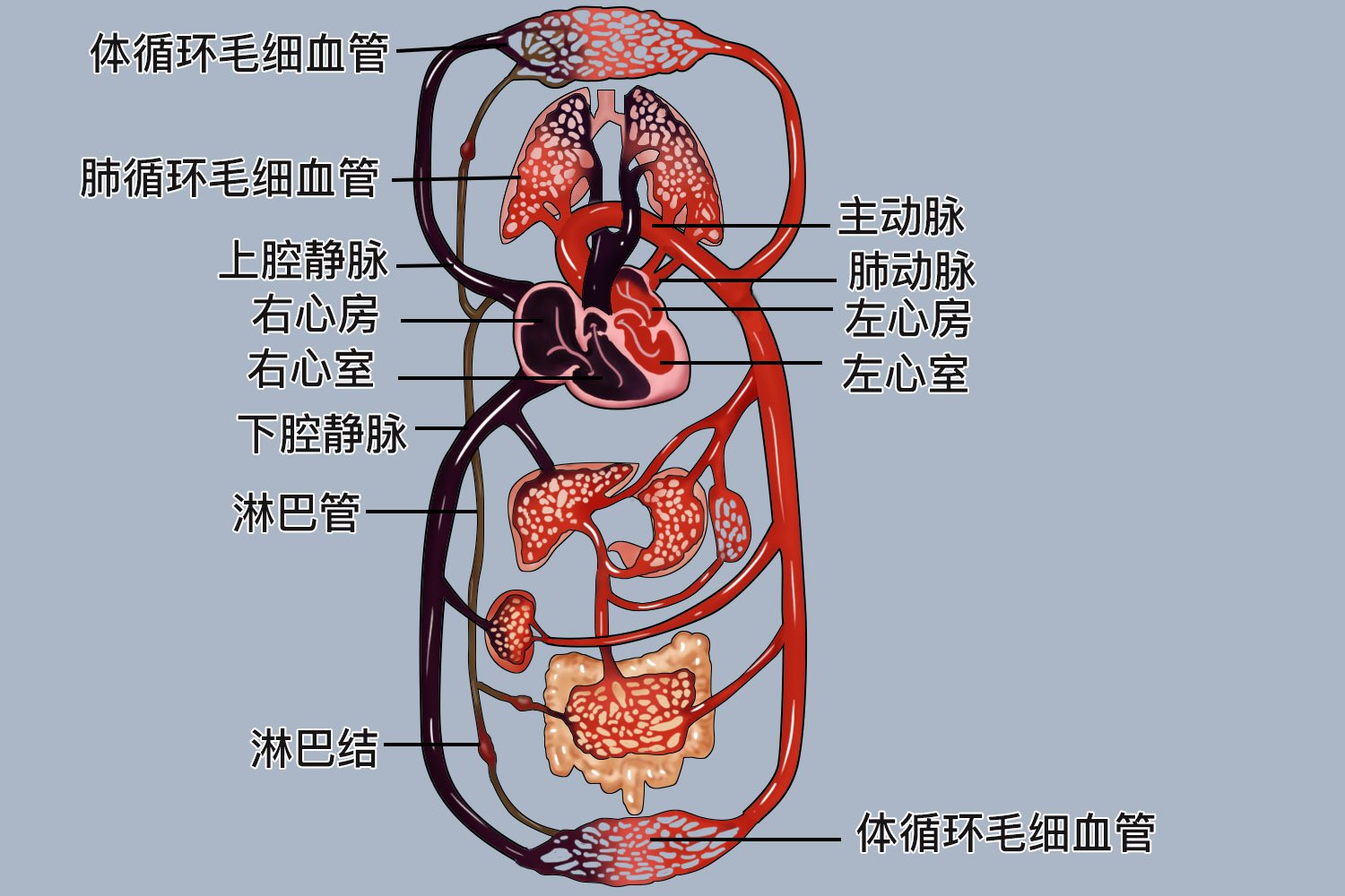 河北省衡水市景县留智庙乡敬老院