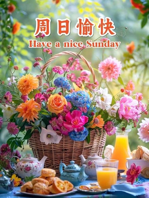 河北省保定市新市区金鹏老年公寓