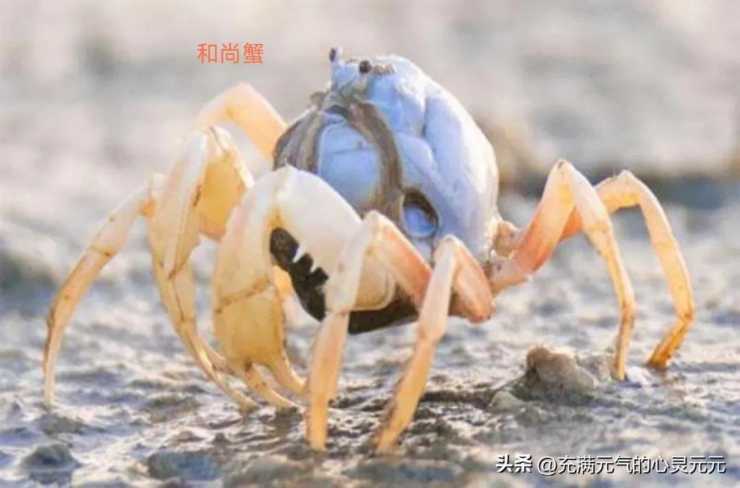 河北省邯郸市峰峰矿区元宝山敬老院