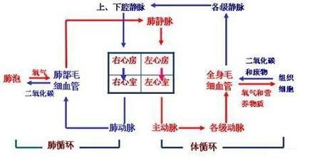 河南省安阳市汤阴县五陵镇敬老院