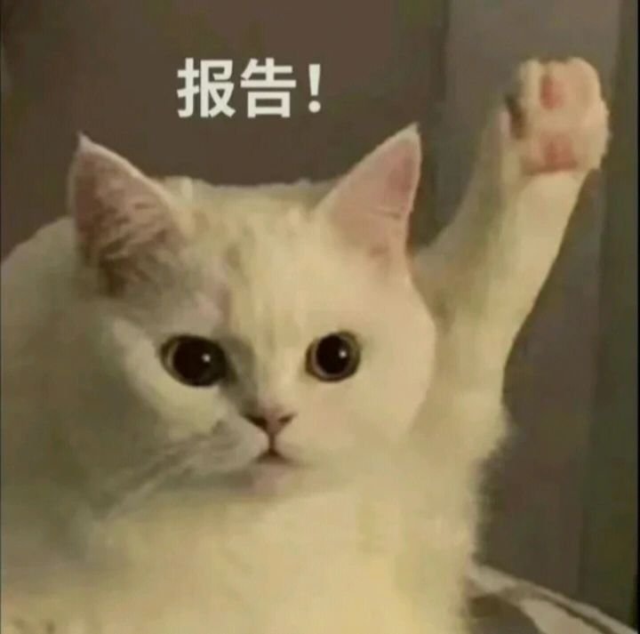 河南省洛阳市洛宁县杨坡乡敬老院