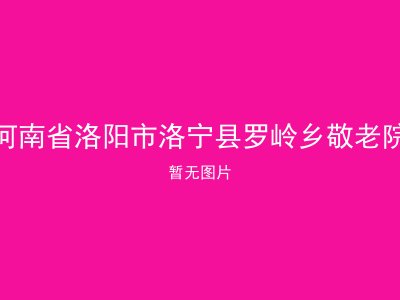 河南省洛阳市洛宁县罗岭乡敬老院