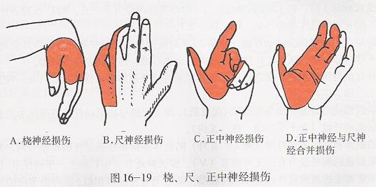 河南省洛阳市嵩县大坪乡敬老院