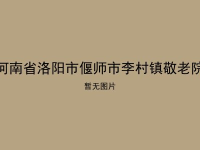 河南省洛阳市偃师市李村镇敬老院