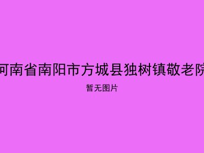 河南省南阳市方城县独树镇敬老院