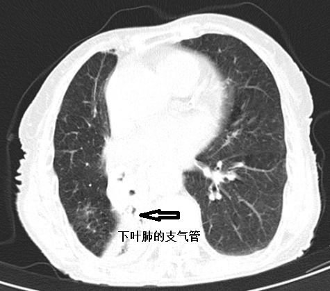 河南省南阳市社旗县晋庄镇敬老院