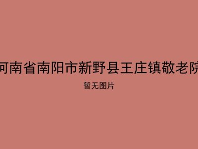 河南省南阳市新野县王庄镇敬老院