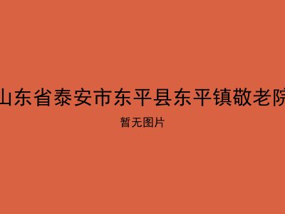 山东省泰安市东平县东平镇敬老院