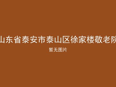 山东省泰安市泰山区徐家楼敬老院