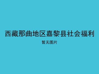 西藏那曲地区嘉黎县社会福利