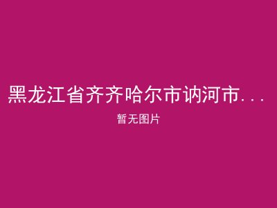 黑龙江省齐齐哈尔市讷河市老莱镇敬老院