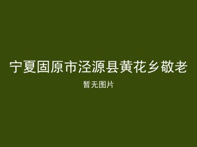 宁夏固原市泾源县黄花乡敬老