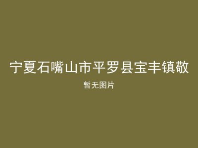 宁夏石嘴山市平罗县宝丰镇敬