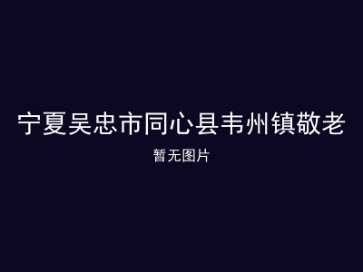 宁夏吴忠市同心县韦州镇敬老