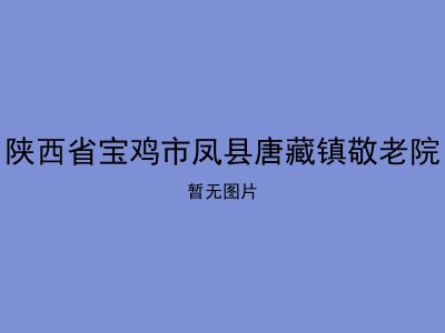 陕西省宝鸡市凤县唐藏镇敬老院