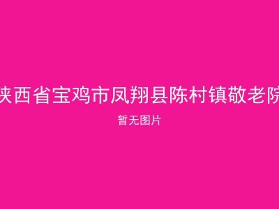 陕西省宝鸡市凤翔县陈村镇敬老院