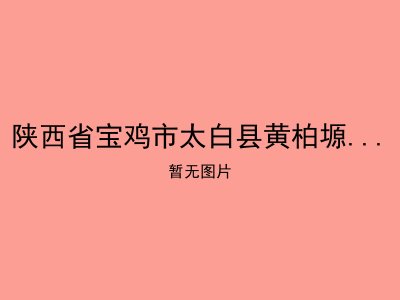 陕西省宝鸡市太白县黄柏塬乡二郎坝敬老院