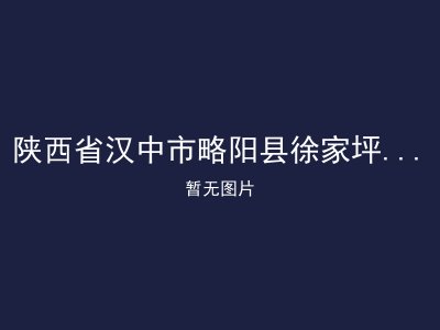 陕西省汉中市略阳县徐家坪镇敬老院