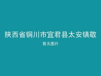 陕西省铜川市宜君县太安镇敬