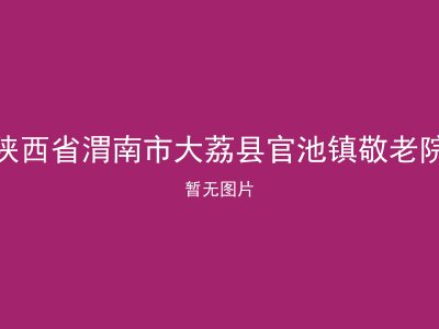 陕西省渭南市大荔县官池镇敬老院