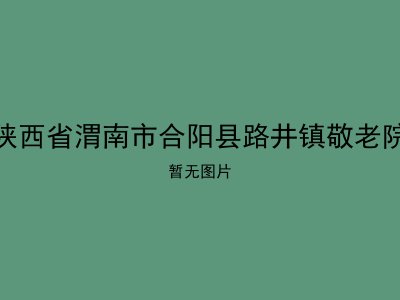 陕西省渭南市合阳县路井镇敬老院