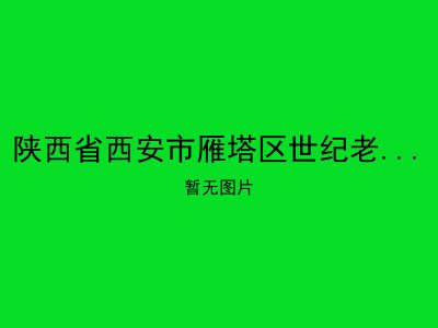 陕西省西安市雁塔区世纪老人康乐园