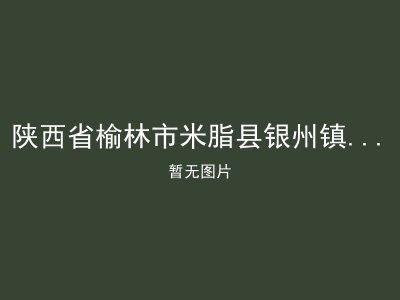 陕西省榆林市米脂县银州镇城关敬老院