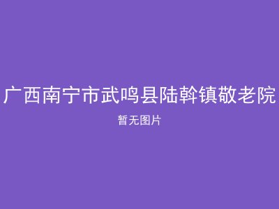 广西南宁市武鸣县陆斡镇敬老院