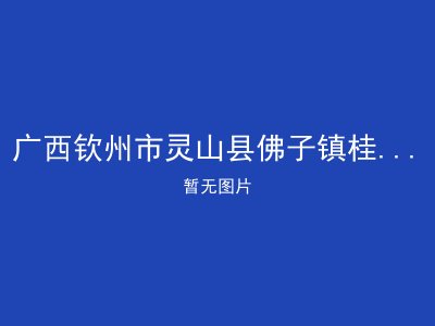 广西钦州市灵山县佛子镇桂山敬老院