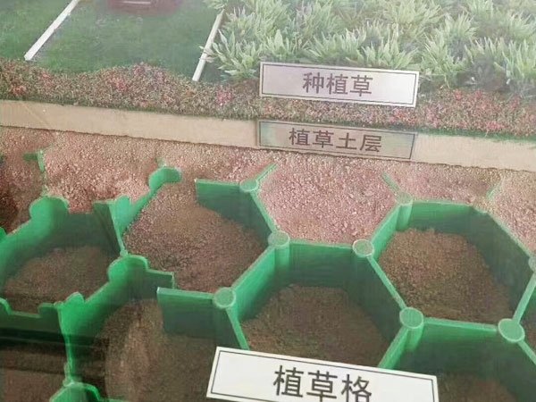 广东省佛山市顺德区乐从镇敬老院