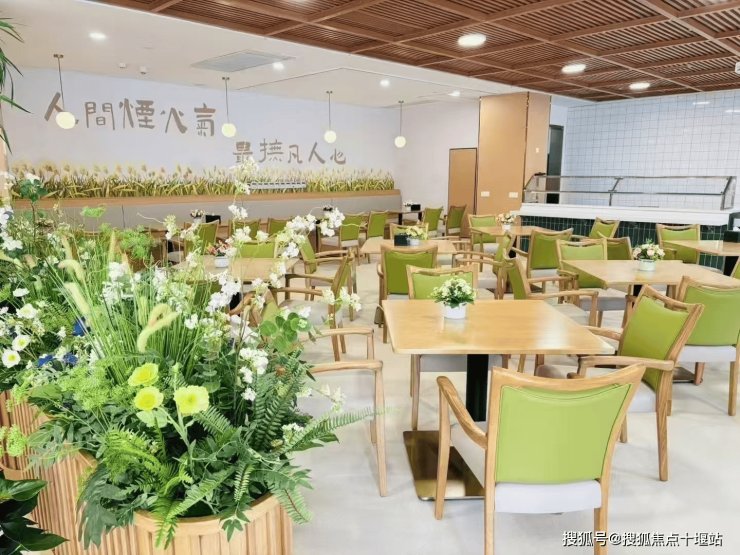 江苏省南京市江宁区开发区敬老院
