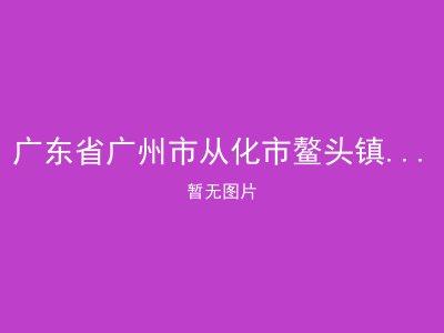 广东省广州市从化市鳌头镇棋杆敬老院