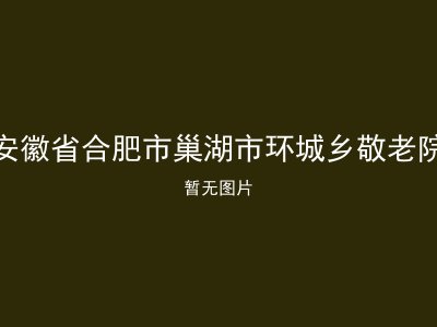 安徽省合肥市巢湖市环城乡敬老院