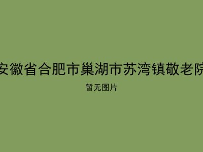 安徽省合肥市巢湖市苏湾镇敬老院