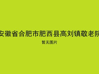 安徽省合肥市肥西县高刘镇敬老院