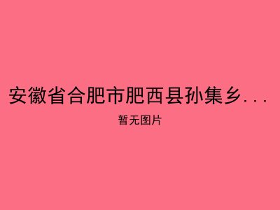 安徽省合肥市肥西县孙集乡吴圩敬老院