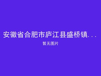 安徽省合肥市庐江县盛桥镇向阳敬老院