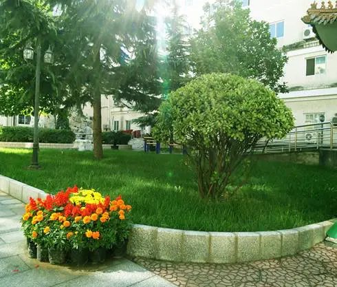 湖南省长沙市宁乡县社会福利院