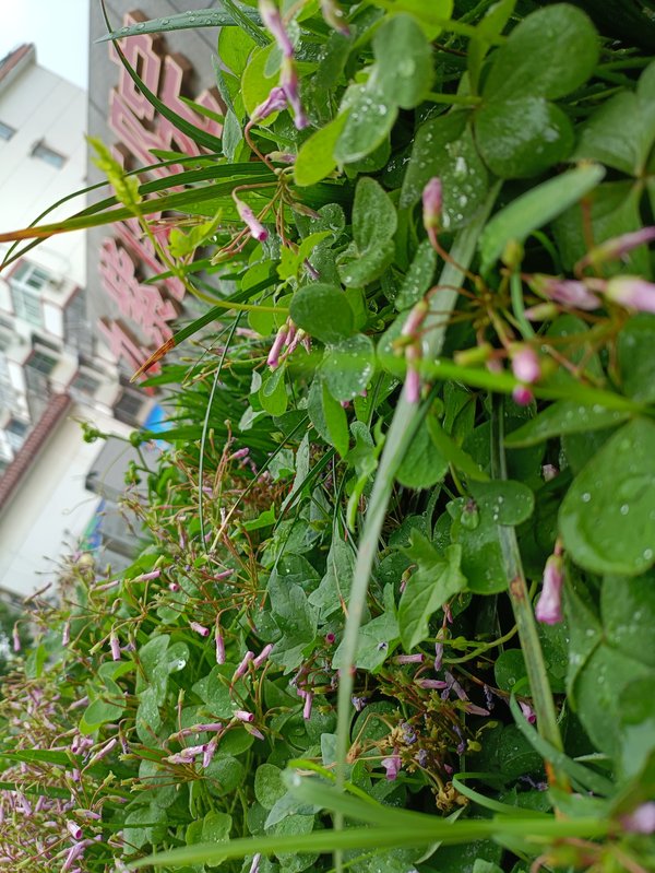 许昌瑞心颐养院