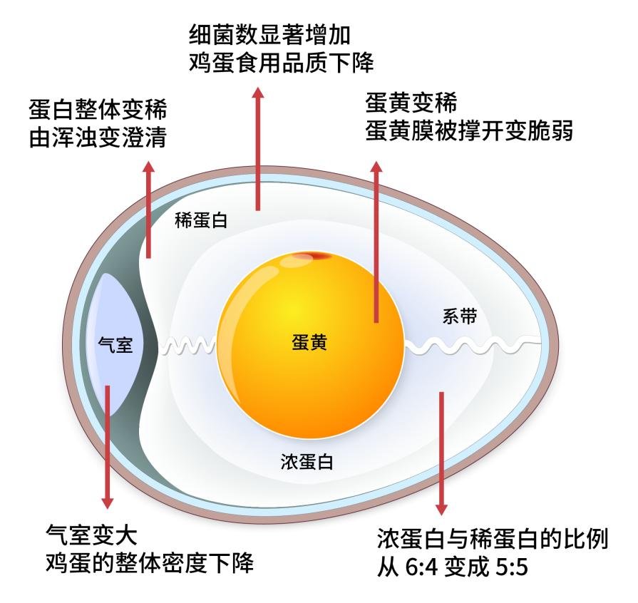 唐山路南区平安家园居家养老