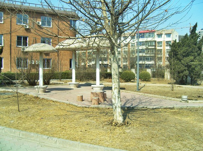 天津西青区张家窝镇养老院