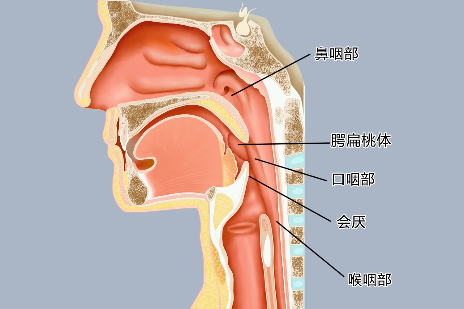 许昌襄城县膳养园老年公寓