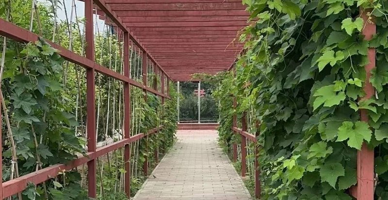 北京市昌平区鸥情养老院