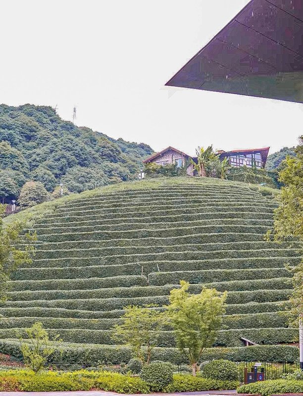杭州拱墅区杭钢随园智汇坊养老院