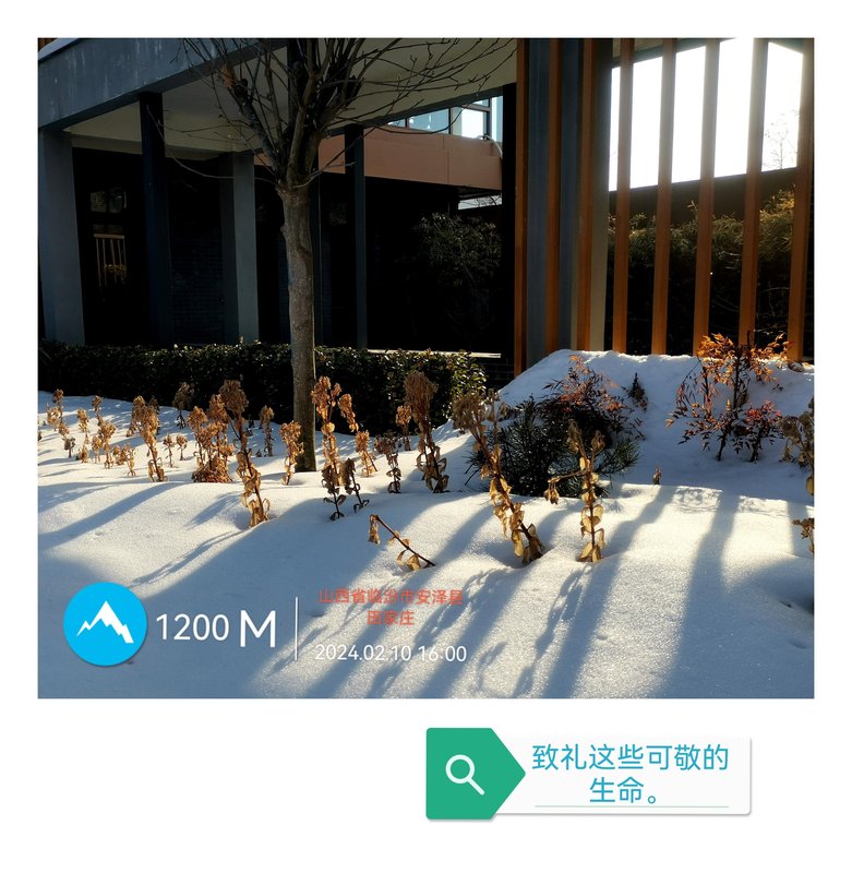 海南五指山市北方安家椰枫旅居养老基地