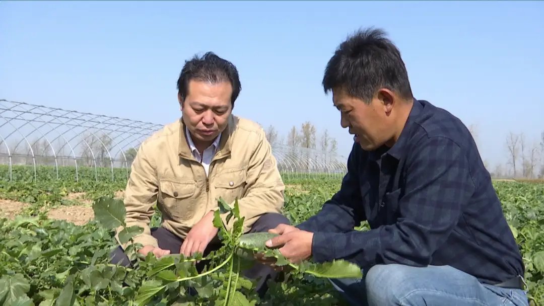 宿州埇桥区长寿养老院