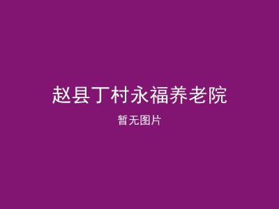 赵县丁村永福养老院