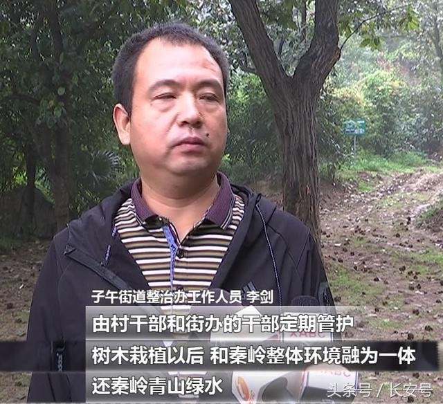 西安市长安区子午区域敬老院