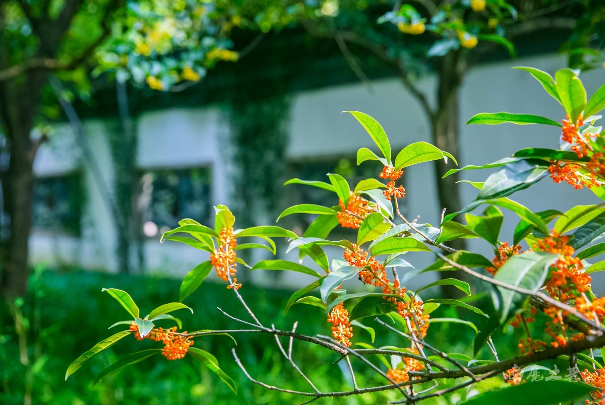 西乡县白勉峡区域敬老院